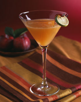 Tequilla Slush